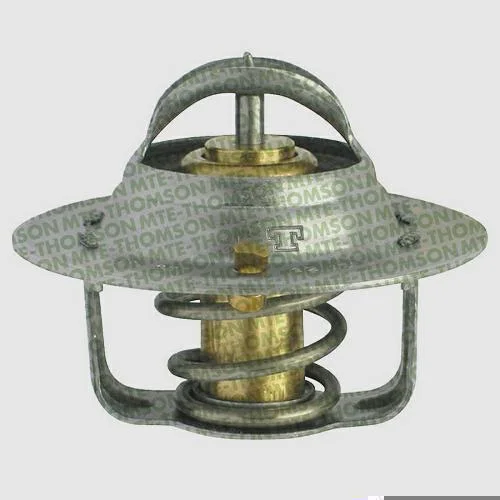 Válvula Termostática MTE-THOMSON VT463.82