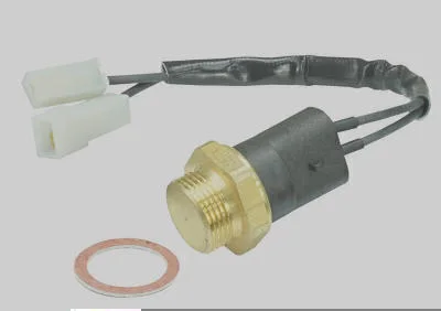 Interruptor Térmico MAGNETI MARELLI ITMM708.92