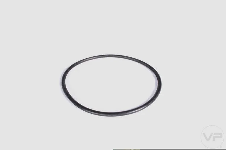 Guarnição da Flange de Combustível