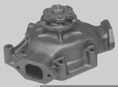 Bomba D' Água MAGNETI MARELLI BMM0355A