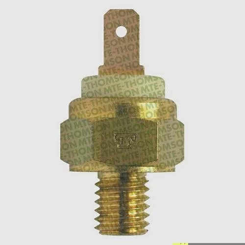 Interruptor Térmico MTE-THOMSON 3007