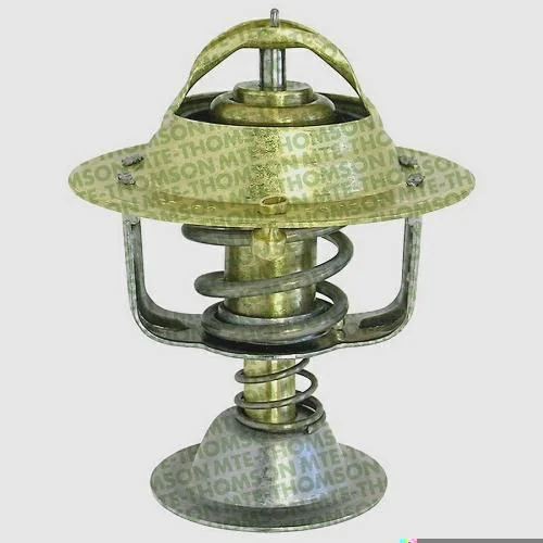 Válvula Termostática MTE-THOMSON VT305.76