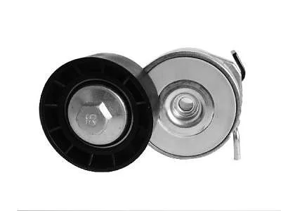 TENSOR & POLIA DAYCO APV2463