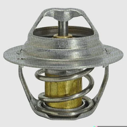 Válvula Termostática MTE-THOMSON VT591.95