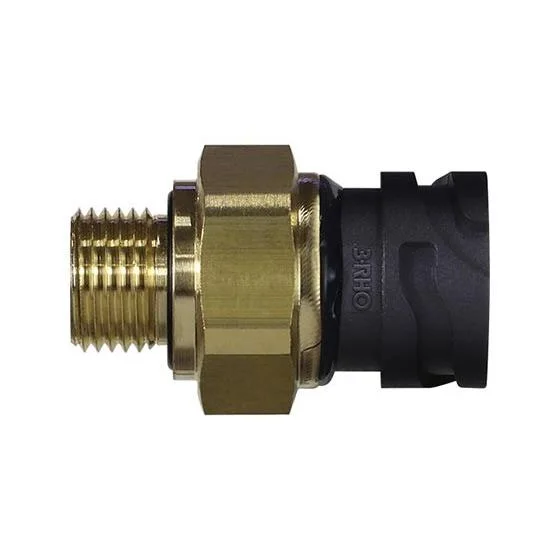 Sensor Eletrônico de Pressão 3RHO 7758