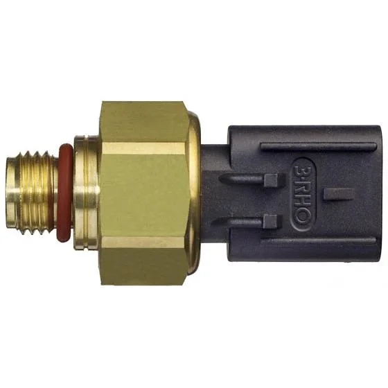 Sensor Eletrônico de Pressão 3RHO 77107