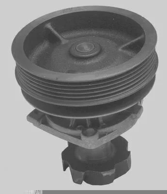 Bomba D' Água MAGNETI MARELLI BMM0761