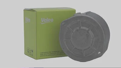 Mancal Traseiro VALEO 494807