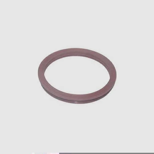 GUARNIÇÃO DA FLANGE DO MÓDULO DE COMBUSTÍVEL DSC 5019