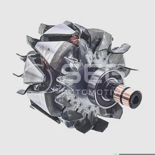 Rotor