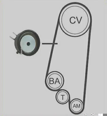 Correia + Tensor