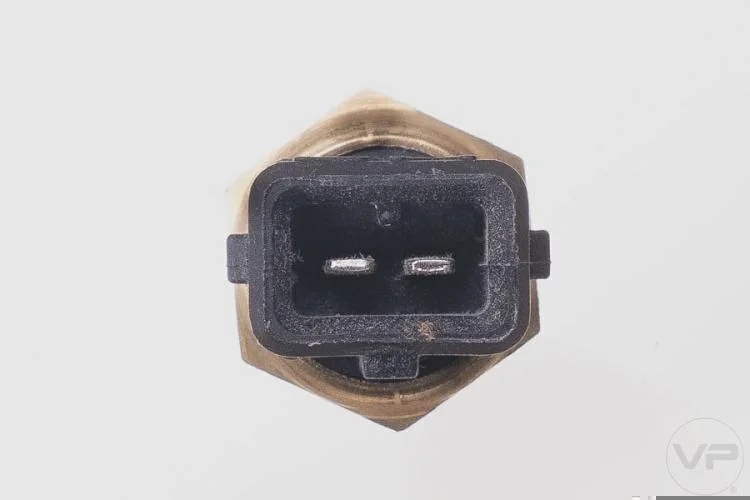 Plug Eletronico