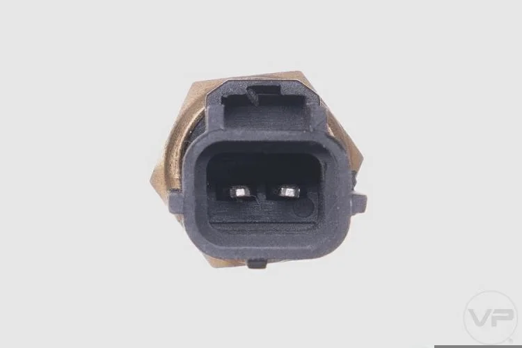 Plug Eletronico