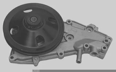 Bomba D' Água MAGNETI MARELLI BMM7020