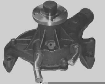 Bomba D' Água MAGNETI MARELLI BMM0341A