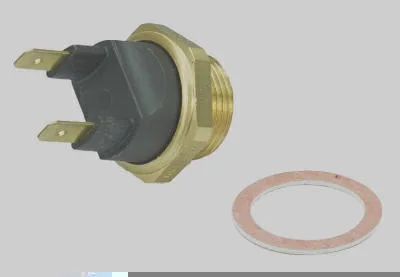 Interruptor Térmico MAGNETI MARELLI ITMM710.99