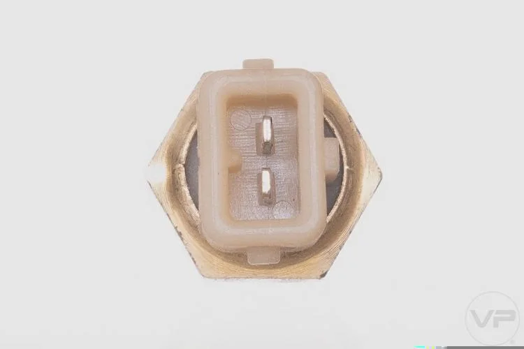 Plug Eletronico