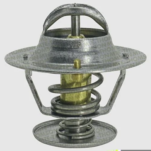 Válvula Termostática MTE-THOMSON VT663.88