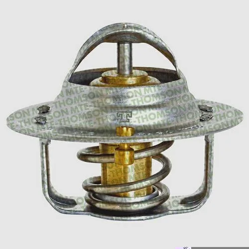Válvula Termostática MTE-THOMSON VT254.82