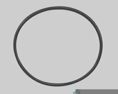 Guarnição da Flange do Módulo de Combustível MAGNETI MARELLI GFMC6702
