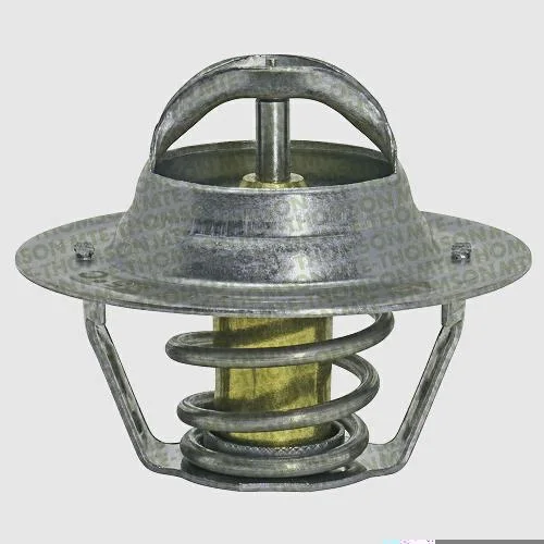 Válvula Termostática MTE-THOMSON VT317.88