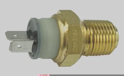 Interruptor Térmico MAGNETI MARELLI ITMM3180