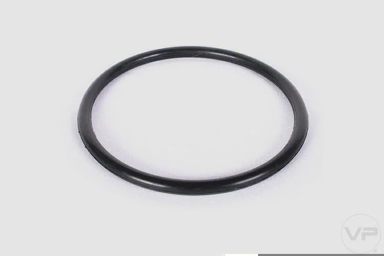 Guarnição da Flange de Combustível