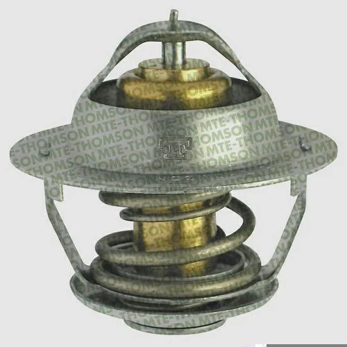 Válvula Termostática MTE-THOMSON VT299.90
