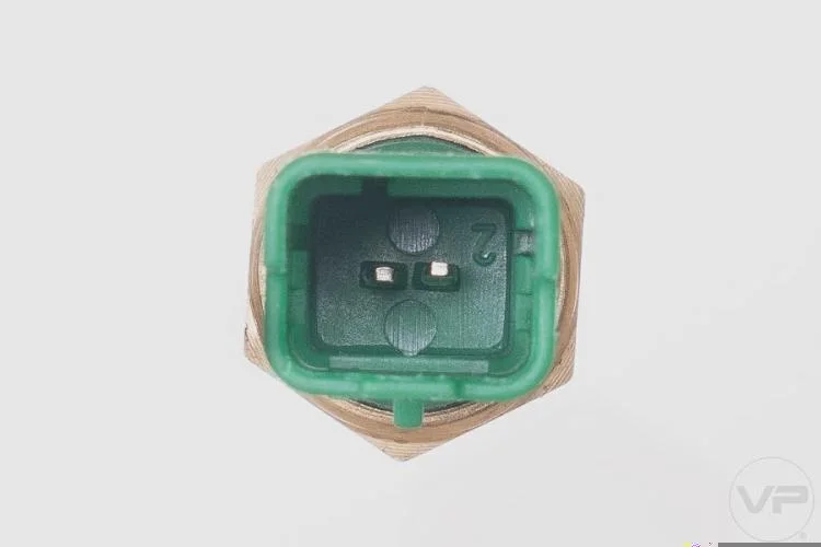 Plug Eletronico