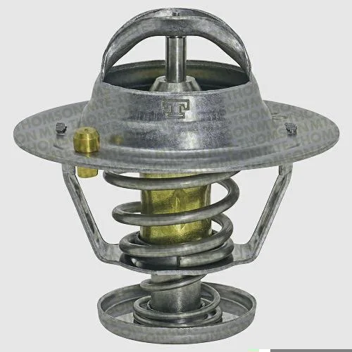 Válvula Termostática MTE-THOMSON VT435.88