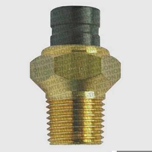 Interruptor Térmico MTE-THOMSON 3046