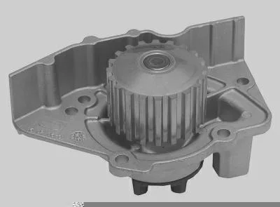 Bomba D' Água MAGNETI MARELLI BMM9525