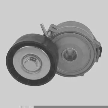 TENSIONADOR DAYCO APV2464