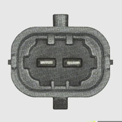 Sensor de Temperatura dos Gases do Escapamento - EGTS