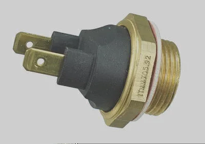 Interruptor Térmico MAGNETI MARELLI ITMM705.92
