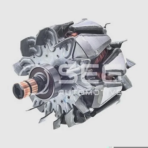 Rotor SEG F00M.131.618