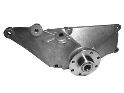 TENSOR & POLIA DAYCO APV2283