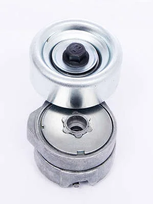 TENSIONADOR DAYCO APV2922