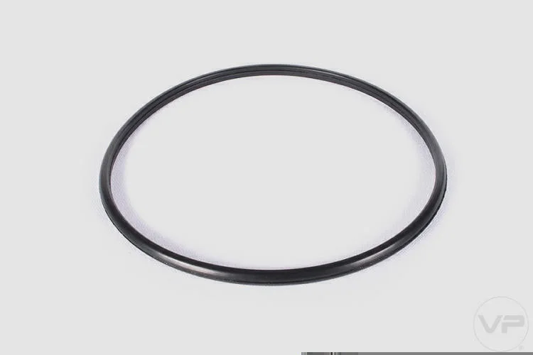 Guarnição da Flange de Combustível