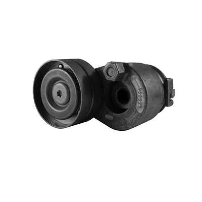 TENSOR & POLIA DAYCO APV2498