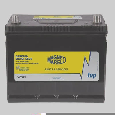 Top MAGNETI MARELLI TOP75DR