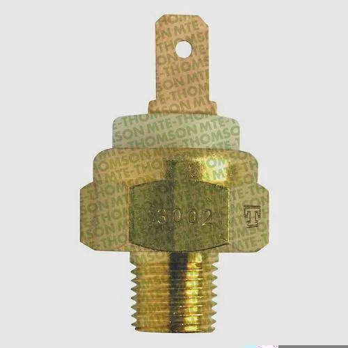 Interruptor Térmico MTE-THOMSON 3002