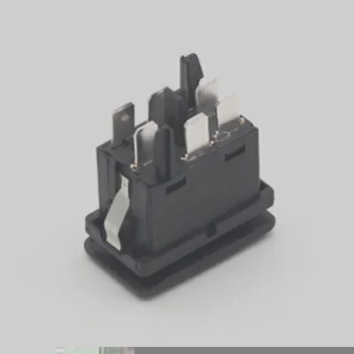 Interruptor