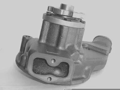 Bomba D' Água MAGNETI MARELLI BMM0316A
