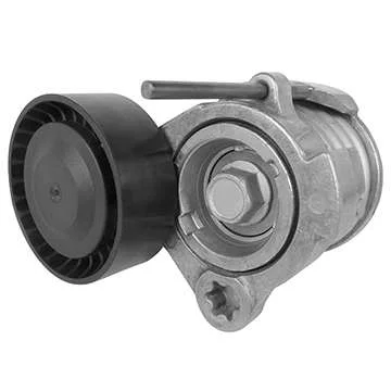 TENSOR & POLIA DAYCO APV3091