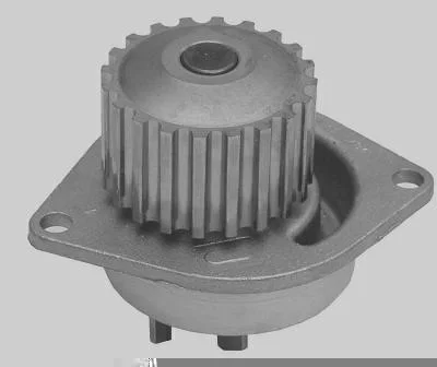 Bomba D' Água MAGNETI MARELLI BMM9013
