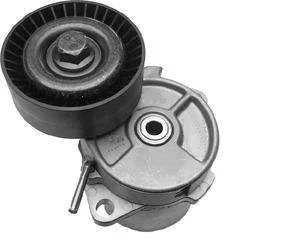 TENSOR & POLIA DAYCO APV2231