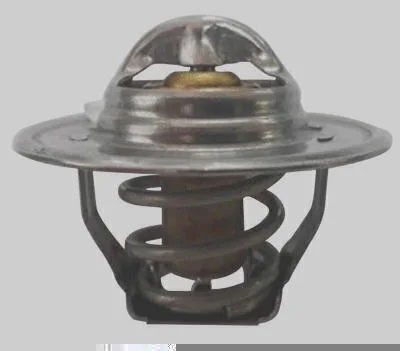 Válvula Termostática MAGNETI MARELLI MMVT294.87K
