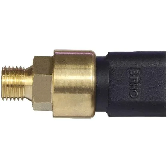 Sensor Eletrônico de Pressão 3RHO 7756
