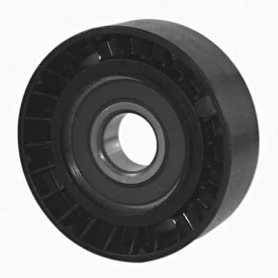 POLIA DAYCO APV1034